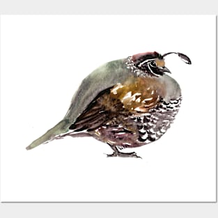 California Quail Posters and Art